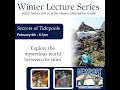 Secrets of Tide Pools