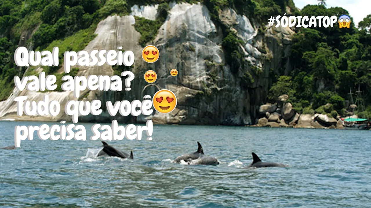 Como encontrar golfinhos e estrela do mar em Angra dos Reis #riodejaneiro #rj