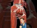 Download Lagu Doctor Explains: what is your pelvic floor?