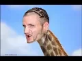 Riff Raff the pet to his dogs itv cribs