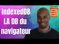 IndexedDB how to store data in the browser