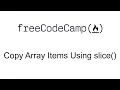 Copy Array Items Using slice - Basic Data Structures