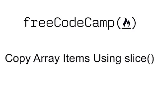 Copy Array Items Using slice - Basic Data Structures