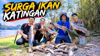 7 Hari Mencari Ikan di Tengah Kebakaran Hutan Kalimantan ft. @bocahpecicilan @borneo_rawa_island