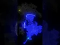 Los Angeles A A-Star with Chebyshev Heuristic Pathfinding Algorithm on Real Maps