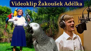 Videoklip Žakoušek Adélka – Ara TV - zpívají Pavel Klika a Vlaďka Kliková