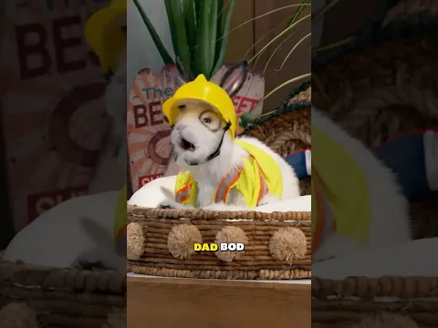Dr. Colosso is Hilarious on The Thundermans: Undercover 🐇🤣