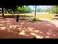 Davi urike urike song