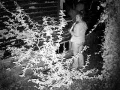 Female in Pratt County Kansas who broke into my place