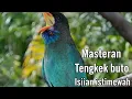 Download Lagu Masteran tengkek buto isiian istimewah#aivideo #tengkekbuto #birds #masteranburung #fyp