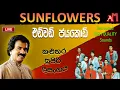 Download Lagu OLD SUNFLOWER WITH EDWARD JAYAKODI  KALUTARA SHOW Recreated High Quality Sounds