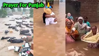 Punjab की बाढ़ ने सबकुछ तबाह कर दिया | दहलाने वाली रिपोर्ट”