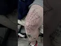 Spiderweb Knee Tattoo By Alannahmanningtattoo