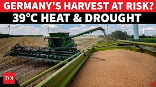 Germany Heatwave and Drought Threaten Harvest as Farmers Face Crop Losses Across the Country Crisis