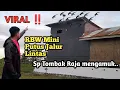 Download Lagu Suara Panggil Walet Terbaik ‼️Sp Tombak Raja putus jalur lintas