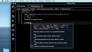 How To Build A Shopping List Program In Python