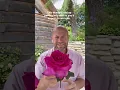 Download Lagu personal growing review of rose ‘Buxom Beauty’ (Korbilant) bred @KordesRosenschulen #gardenerben 