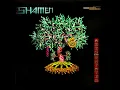 The SHAMEN – Axis Mutatis – 1985 – Full album – Vinyl