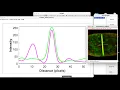 How to plot profile intensity for multiple fluorescence images in ImageJ