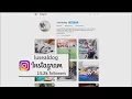 Your Pittsburgh Pittsburgh Pets Become Social Media Celebrities