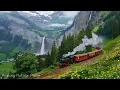 Download Lagu Relaxing music for anxiety and depression🌿 Soothing nature sounds for deep sleep, Calming music