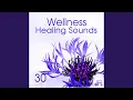 Reiki Healing and Velvet Touch