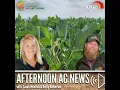 Afternoon Ag News August 17 2026 USDA is giving farmers more time to pay their crop insurance