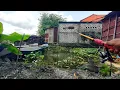 Lagu Tau kalau gini sejak awal ke spot belakang rumah ini saja