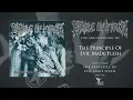CRADLE OF FILTH - The Principle Of Evil Made Flesh - full album (DSR 306 / DSR Productions)