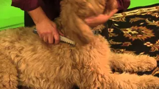 Removing Knots with the Knot Out Comb