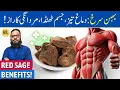 Download Lagu Behman Surkh (Red Sage) Root Ke Fayde/Istemal | Dr. Ibrahim