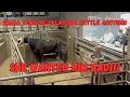 I went to the Tahlequah Ok Livestock Auction Rank Cows get a trip to town