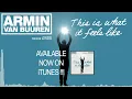 Armin Van Buuren Feat. Trevor Guthrie - This is what it feels like (W&W Remix)