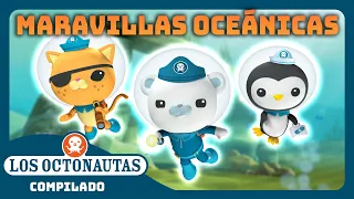 Los Octonautas - 🐠🪸 Fabulosas maravillas oceánicas 🤿✨ | Episodios Completos | Compilado