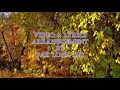 Download Lagu YASIN - NUR KASIH (LIRIK)