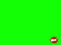 Nick US Screen Bug 2006-2007 Close Chroma Key