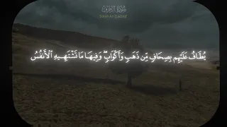 ادخلو الجنة    دندنها