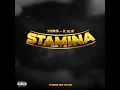 Stamina (feat. K.S.R)