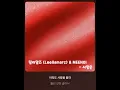 릴러말즈 (Leellamarz) & MEENOI - 사랑은(Love is) (목소리 제거)