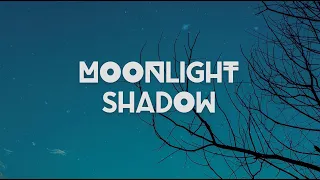 Download Moonlight Shadow - Groove Coverage (TIQTA Remix) MP3