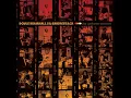 Idaho Woods - Doyle Bramhall II & Smokestack