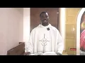 Download Lagu WEDNESDAY, 28TH WEEK, ORDINARY TIME. #Oremus #CatholicMass #DailyMass #CatholicMassToday #eucharist 