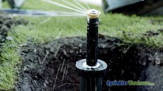 1804-RVAN18 Rain Bird 1800 Bundle Spray Head with R-VAN18