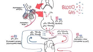 Download Blood Gases (O2, CO2 and ABG) MP3