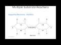 Multiple Substrate Reactions