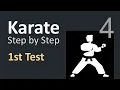 Karate Beginner Tutorials 4 First API Test