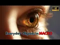 EVERYDAY OBJECTS IN MACRO in 4K Ultra
