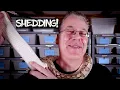 The 4 Stages of Shedding Ball Pythons