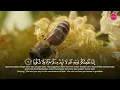 Download Lagu SURAH AL-INSAN (MURATTAL) - FARHATUL FAIRUZAH