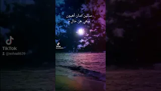 شاھد ببر سونگ 